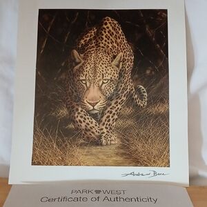 Leopard Art Print With Authenticity Certificate Andrew Bone